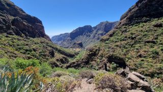 2023-04-GranCan-Guayadeque-042.jpg